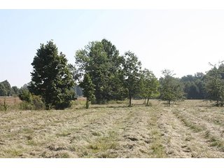 Property photo 59 - 419 +/- Acres offered in 6 Tracts, Land Auction
